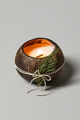 Coconut Bowls Unscented Candle