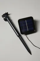 Dandelion Solar Light