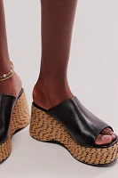 Tulip Wedges