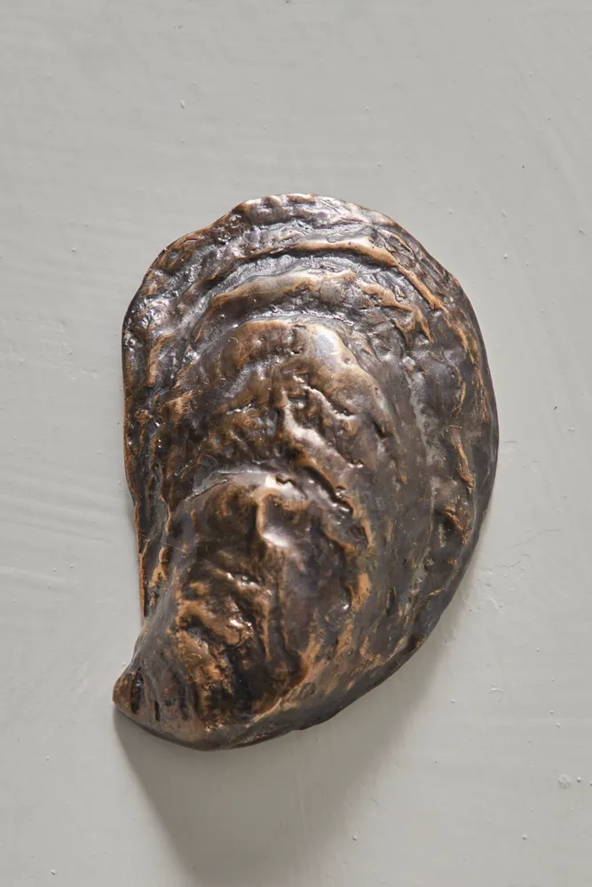 Oyster Shell Bottle Opener