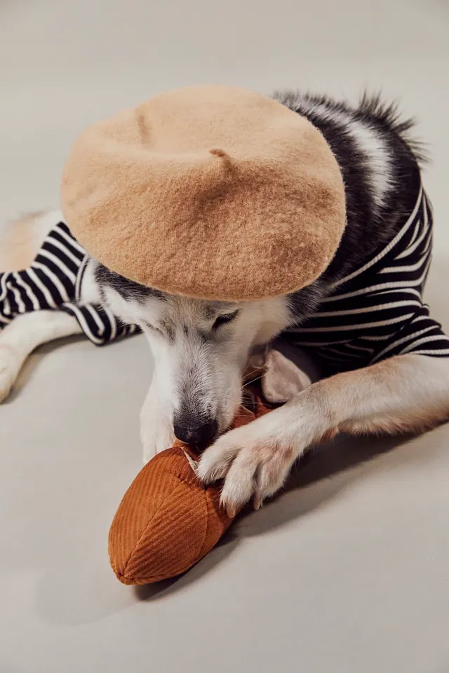 BAGUETTE - Enrichment and Interactive Dog Toy