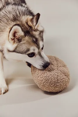 Lambwolf Guu Mushroom Dog Toy