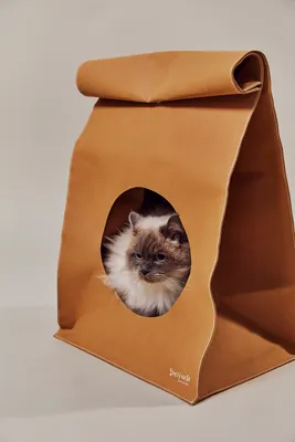 Pet Hide & Seek Bag