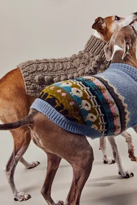 Suffolk Sheep Dog Sweater