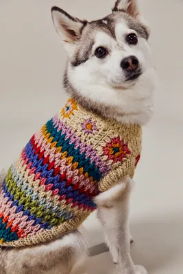 Woodstock Pet Sweater