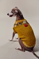 Oh So Sweet Fruit Sweater