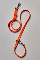 Wild One Standard Pet Leash