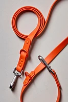 Wild One Standard Pet Leash