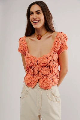 Tach Nogal Crochet Top