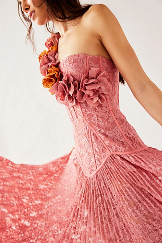 PatBO Hand-Embroidered Lace Gown