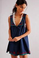 Zina Denim Tunic