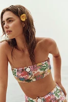 Cleonie Noosa Bikini Top