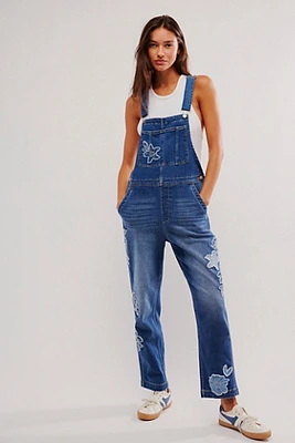 Driftwood Embroidered Overalls