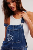 Driftwood Embroidered Overalls