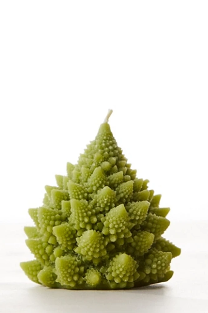 Romanesco Candle