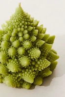 Romanesco Candle