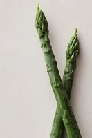 Asparagus Candle Duo