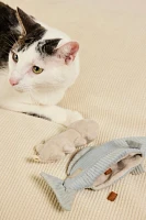 Kitty Trout Toy Bundle