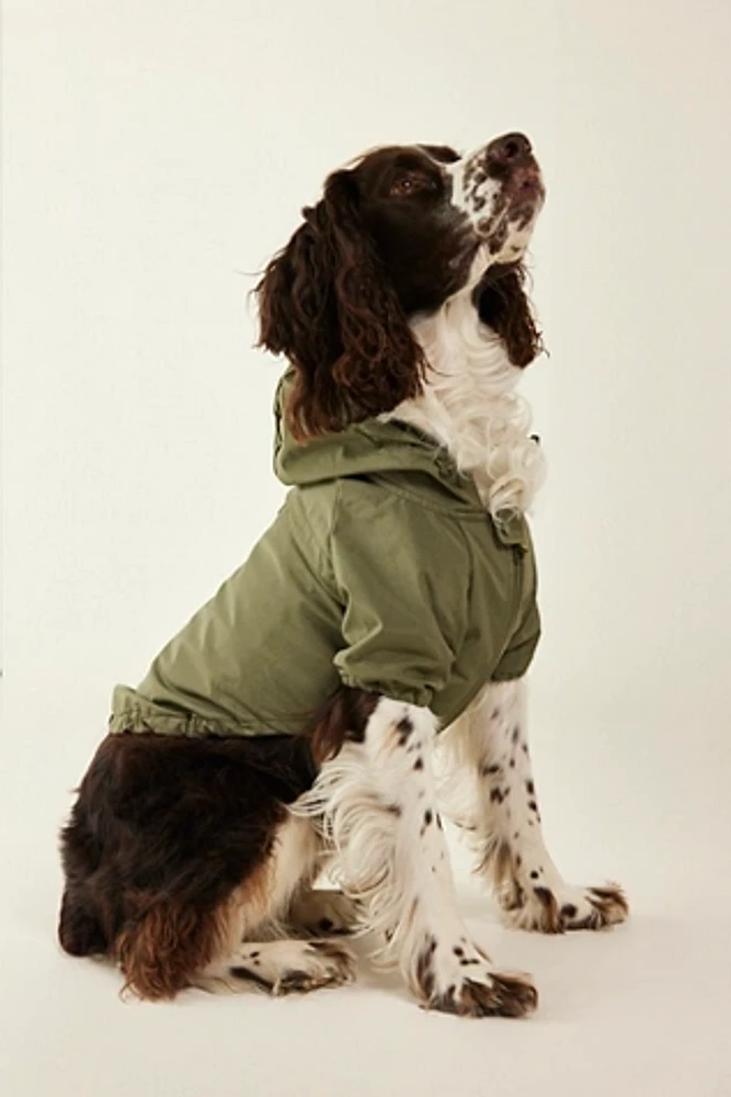 Brooklyn Packable Dog Jacket