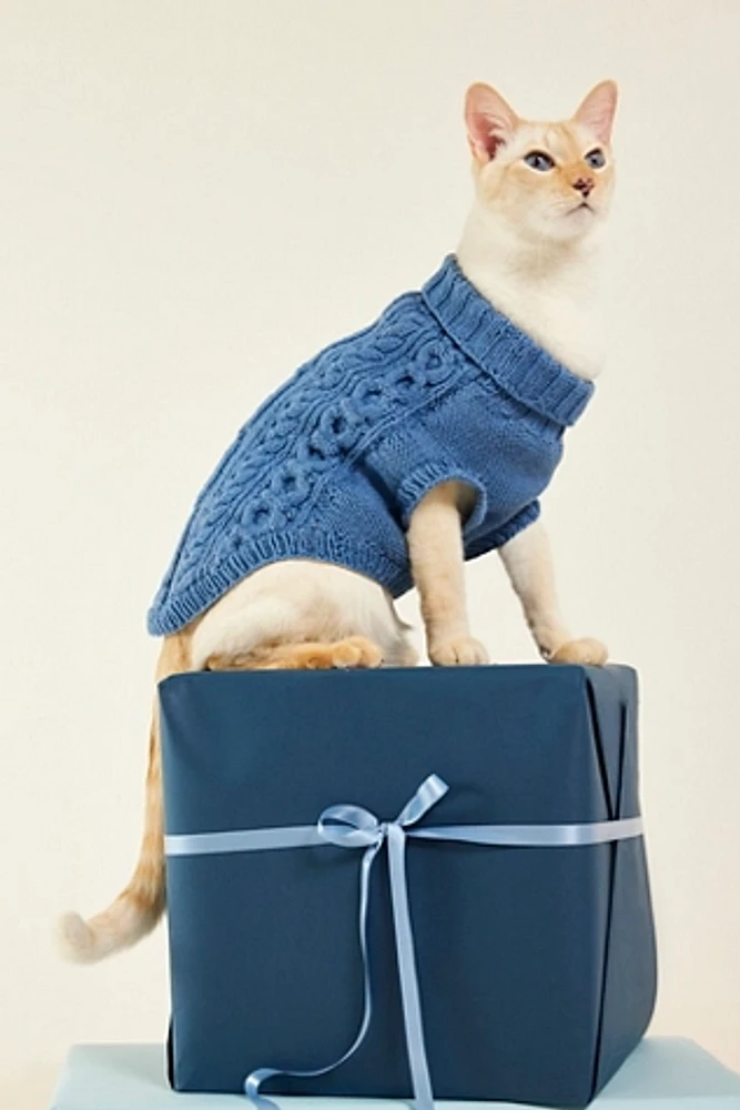 Cable Knit Dog Sweater