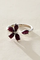 Isla Ring