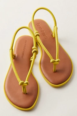 Havaianas Una Acai Sandals