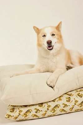 Disco Nap Cordurory Dog Bed