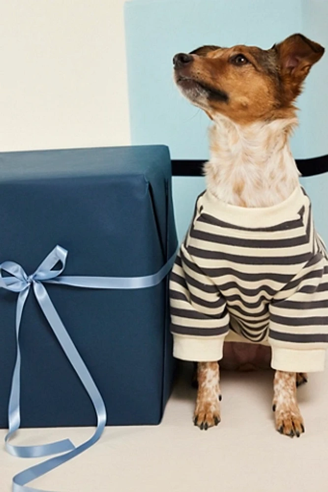 Camden Striped Dog Sweatshirt