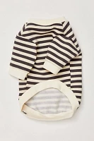 Camden Striped Dog Sweatshirt