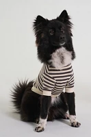 Camden Striped Dog Sweatshirt