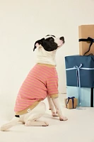 Camden Striped Dog Sweatshirt