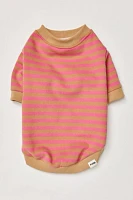 Camden Striped Dog Sweatshirt