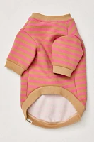 Camden Striped Dog Sweatshirt