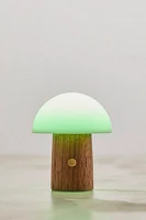 Super Mini Mushroom Lamp