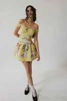 Anna Sui Sweetheart Dress