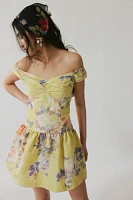 Anna Sui Sweetheart Dress