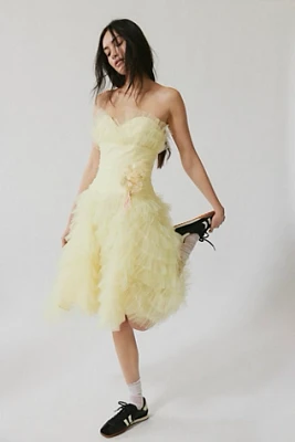 Anna Sui Strapless Tulle Dress