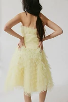 Anna Sui Strapless Tulle Dress
