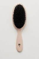 Fan Palm Eco Glam Hair Brush