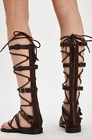 Driftwood Tall Gladiators