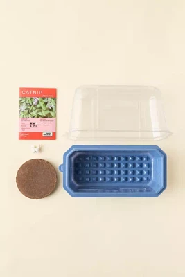 Crazy Cat Plant Ultimate Catnip Growing Kit