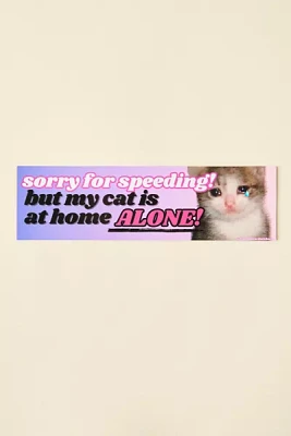 Sorry For Speeding Cat Car Bumper Magnet