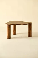 Bali Organic Shaped Wood Coffee Table