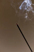 P.F. Candle Co. Charcoal Incense Stick Set