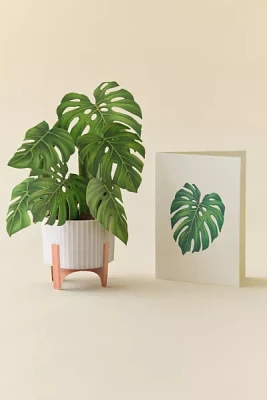 Freshcut Paper Mini Monstera Pop-Up Greeting Card