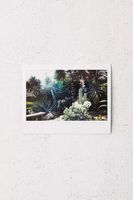 Fujifilm INSTAX Wide Film