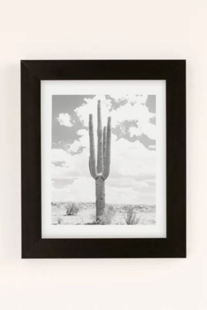 Wilder California Solo Saguaro Art Print