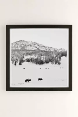 Michael O'Neal American Bison Art Print