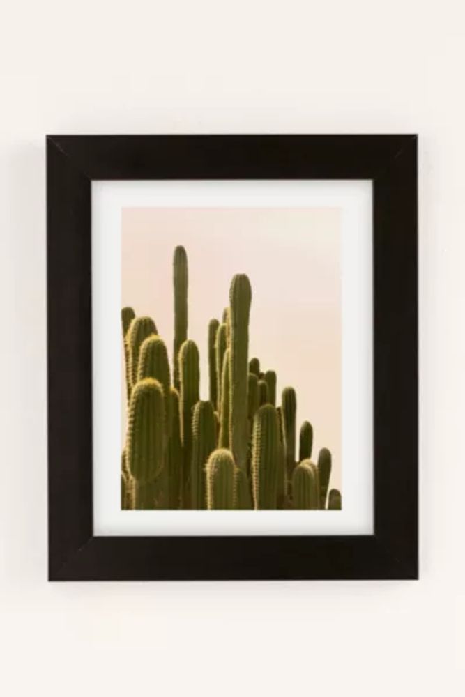 Wilder California Golden Hour Cactus Art Print