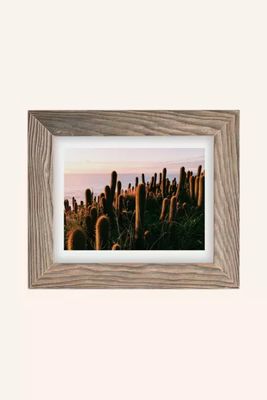 Victoria Aguirre Cactus Sunset Art Print